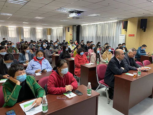 东莞科技进修学院 东莞成人教育 东莞成人高考 东莞学历教育 东莞成人高考培训 东莞mba 东莞专升本